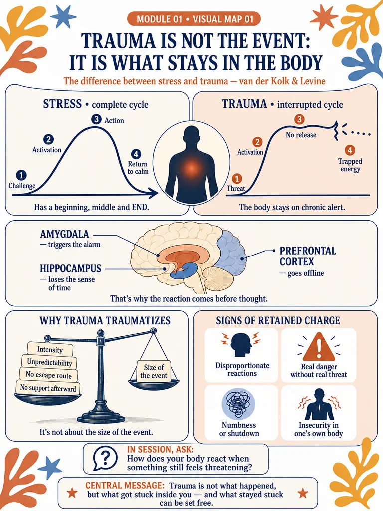 Trauma Made Simple — 100 Visual Maps