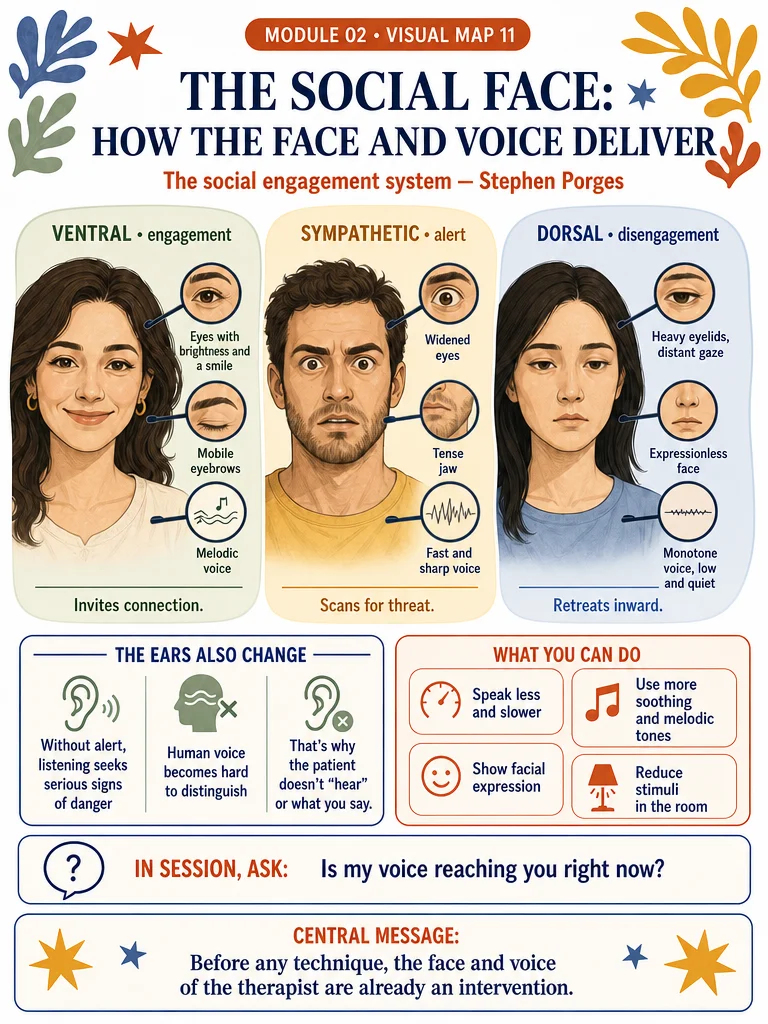 Trauma Made Simple — 100 Visual Maps