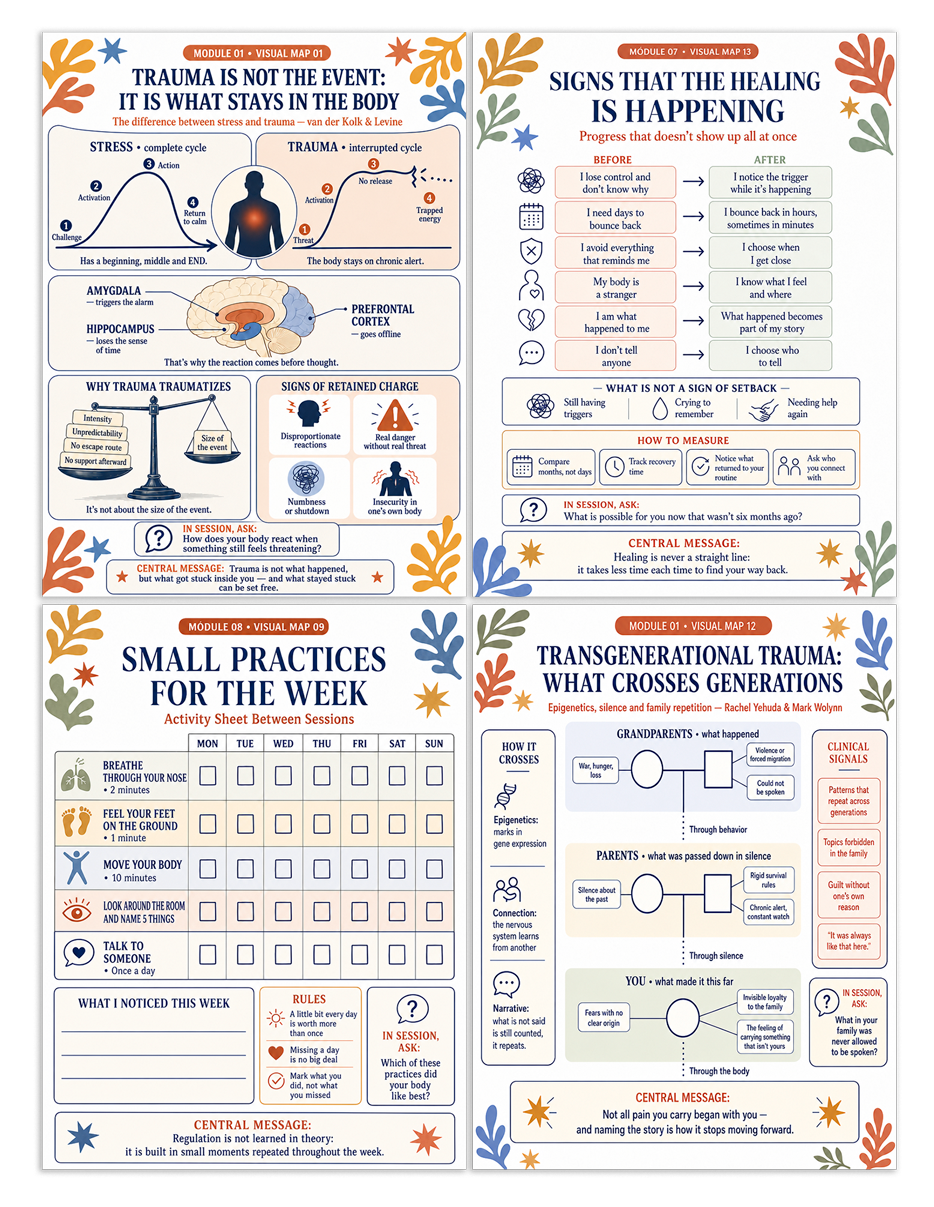 Trauma Made Simple — 100 Visual Maps